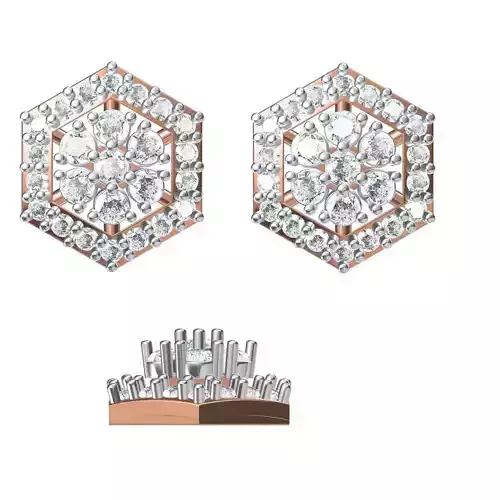 Women Earrings STL JCD Details