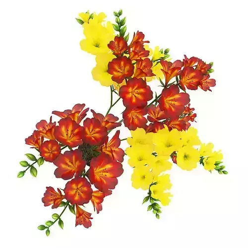 Red-Yellow Flowers in Pot