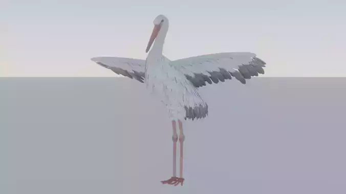 Stork
