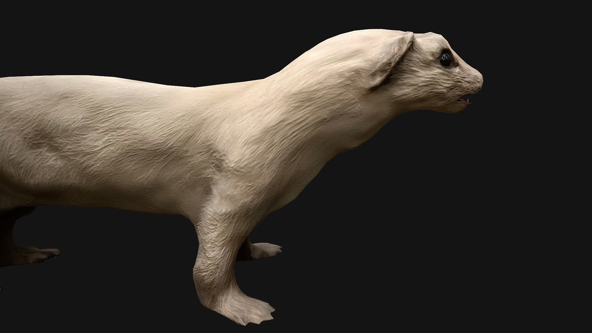 Weasel Ermine Low-poly 3D model_18