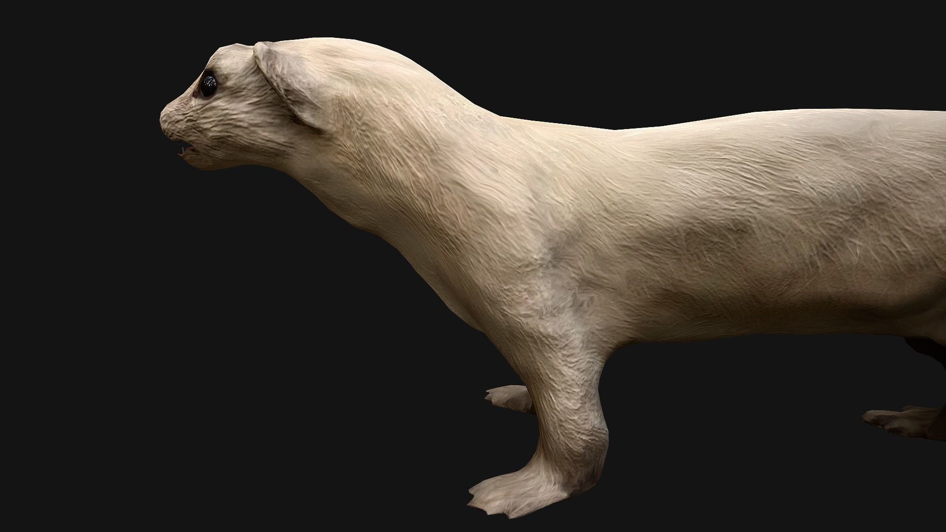 Weasel Ermine Low-poly 3D model_17