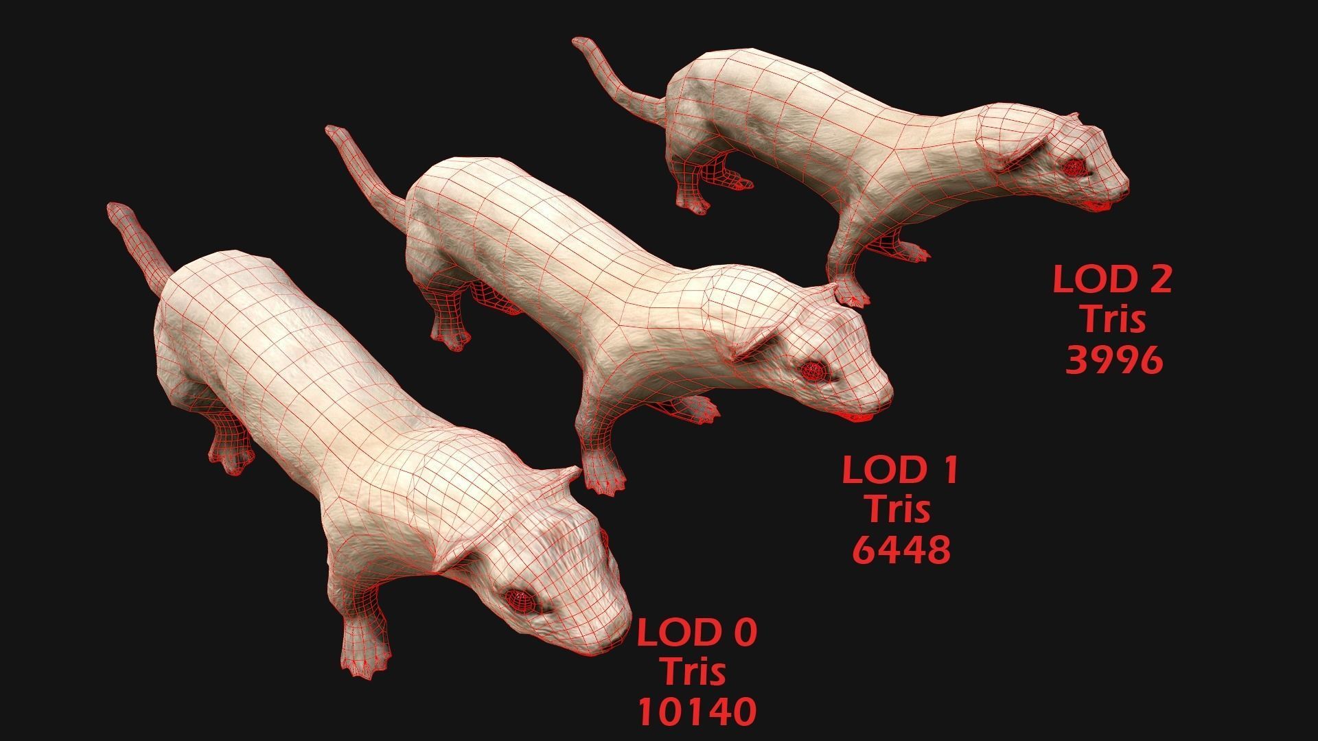 Weasel Ermine Low-poly 3D model_3