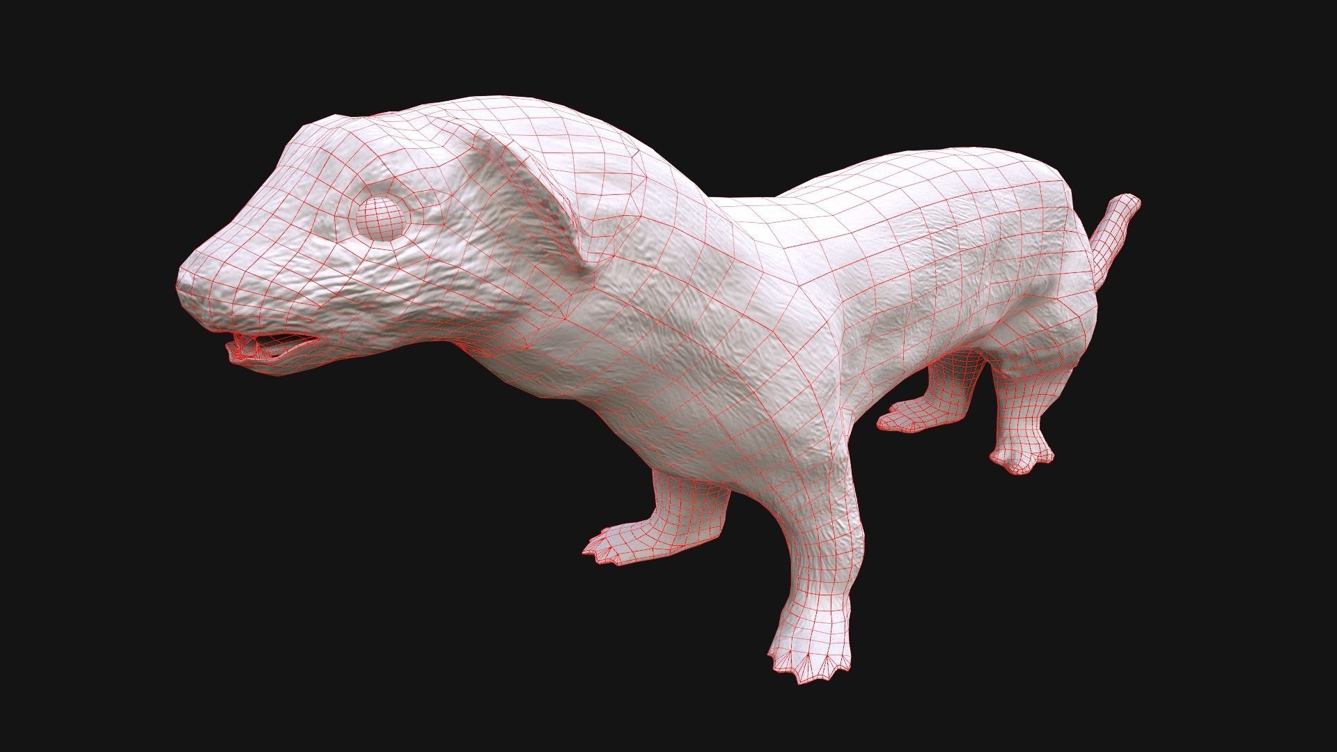 Weasel Ermine Low-poly 3D model_19