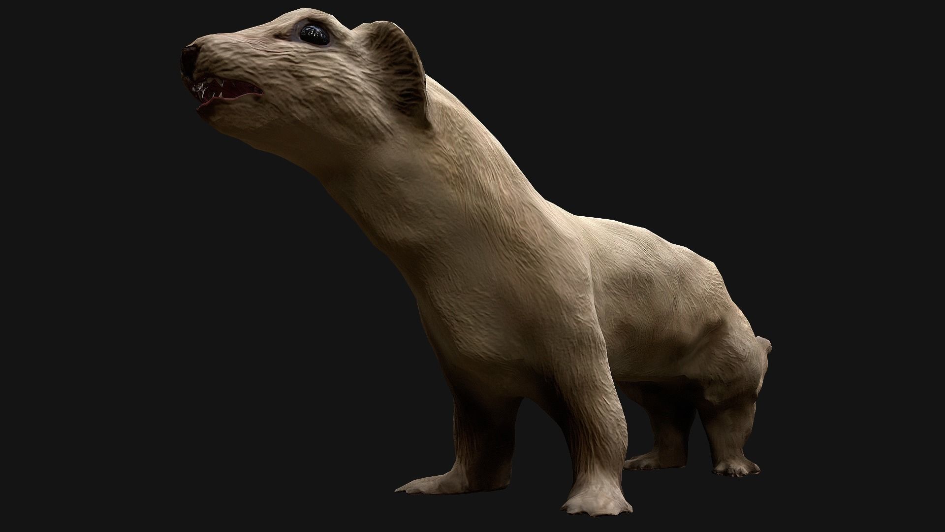 Weasel Ermine Low-poly 3D model_14