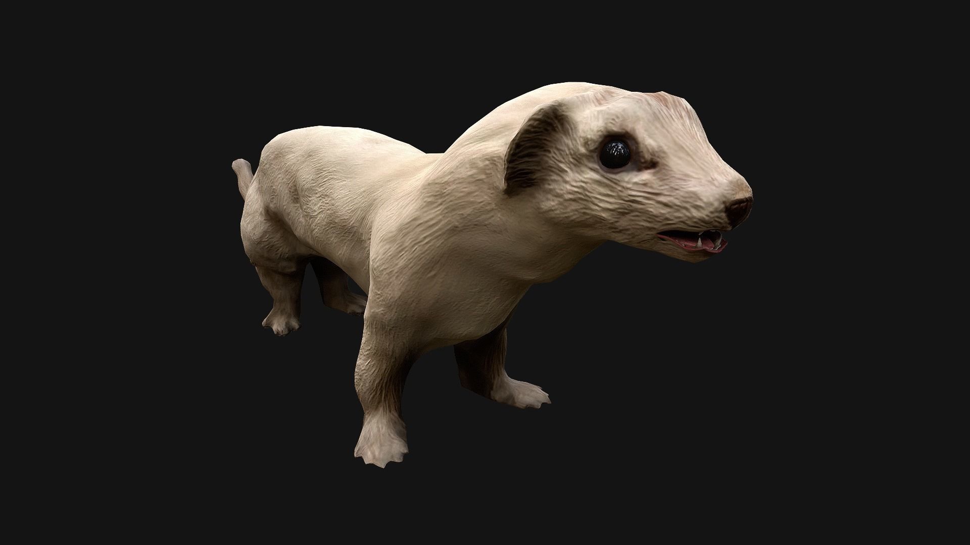Weasel Ermine Low-poly 3D model_12