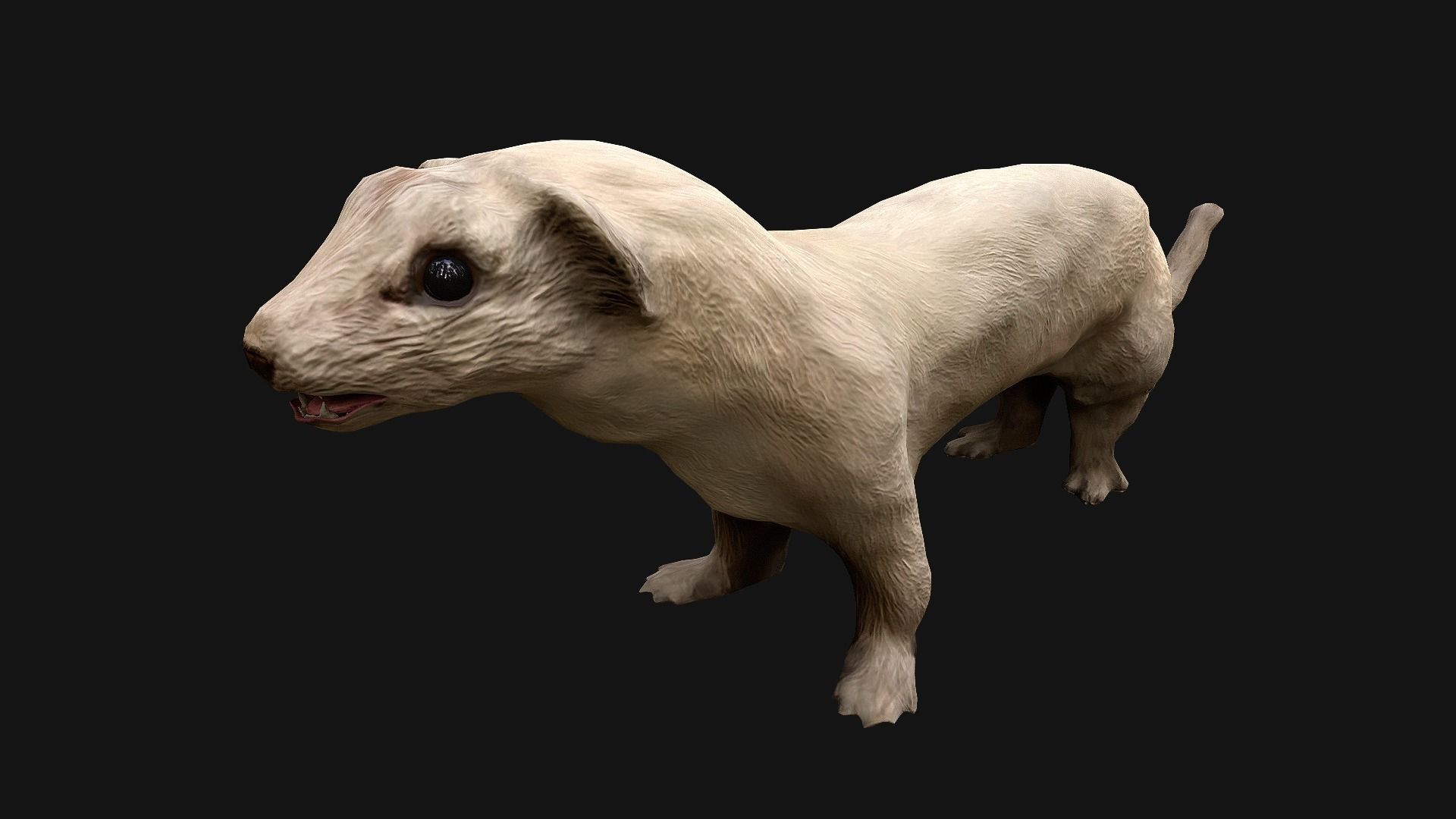 Weasel Ermine Low-poly 3D model_2