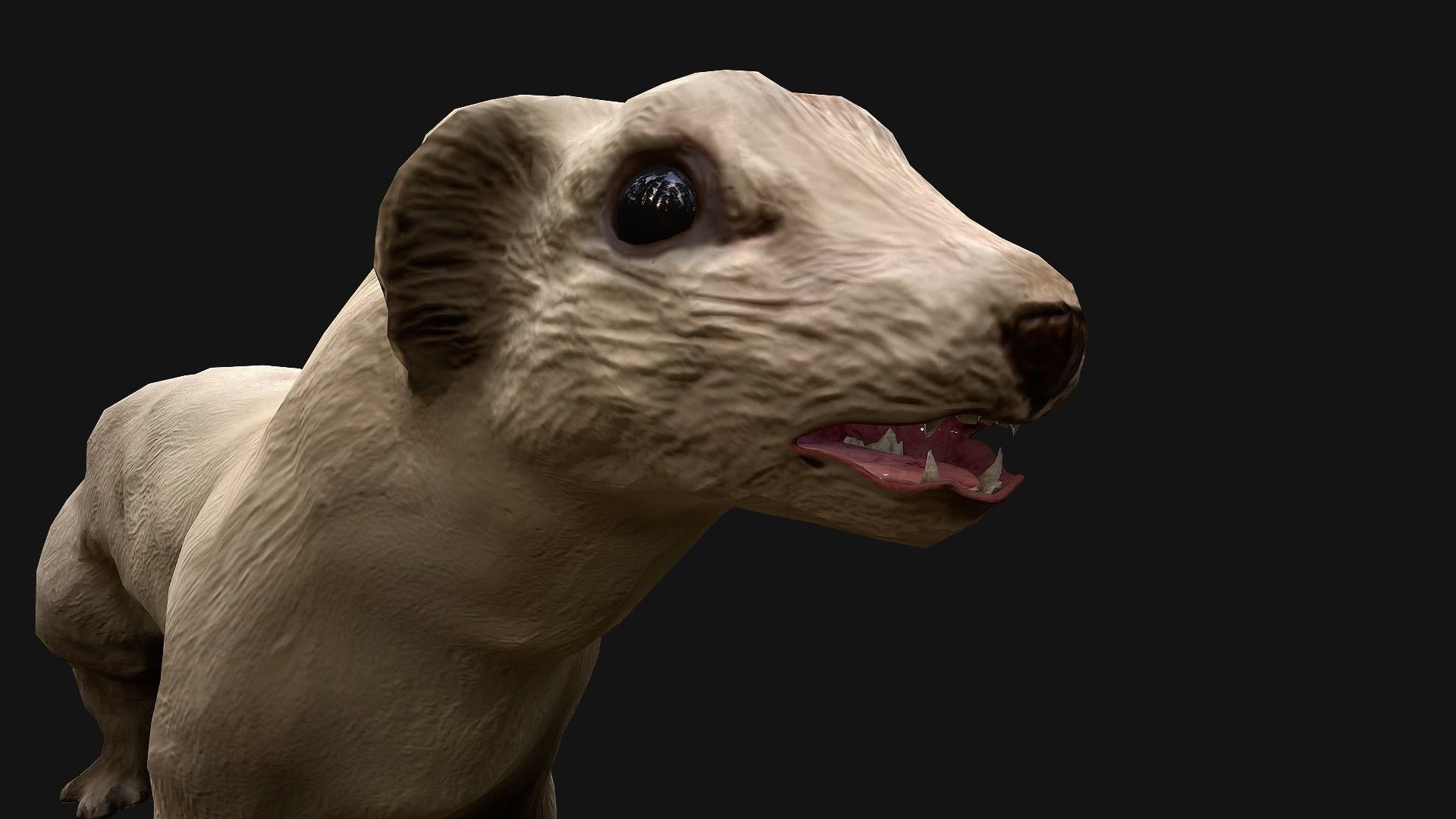 Weasel Ermine Low-poly 3D model_13