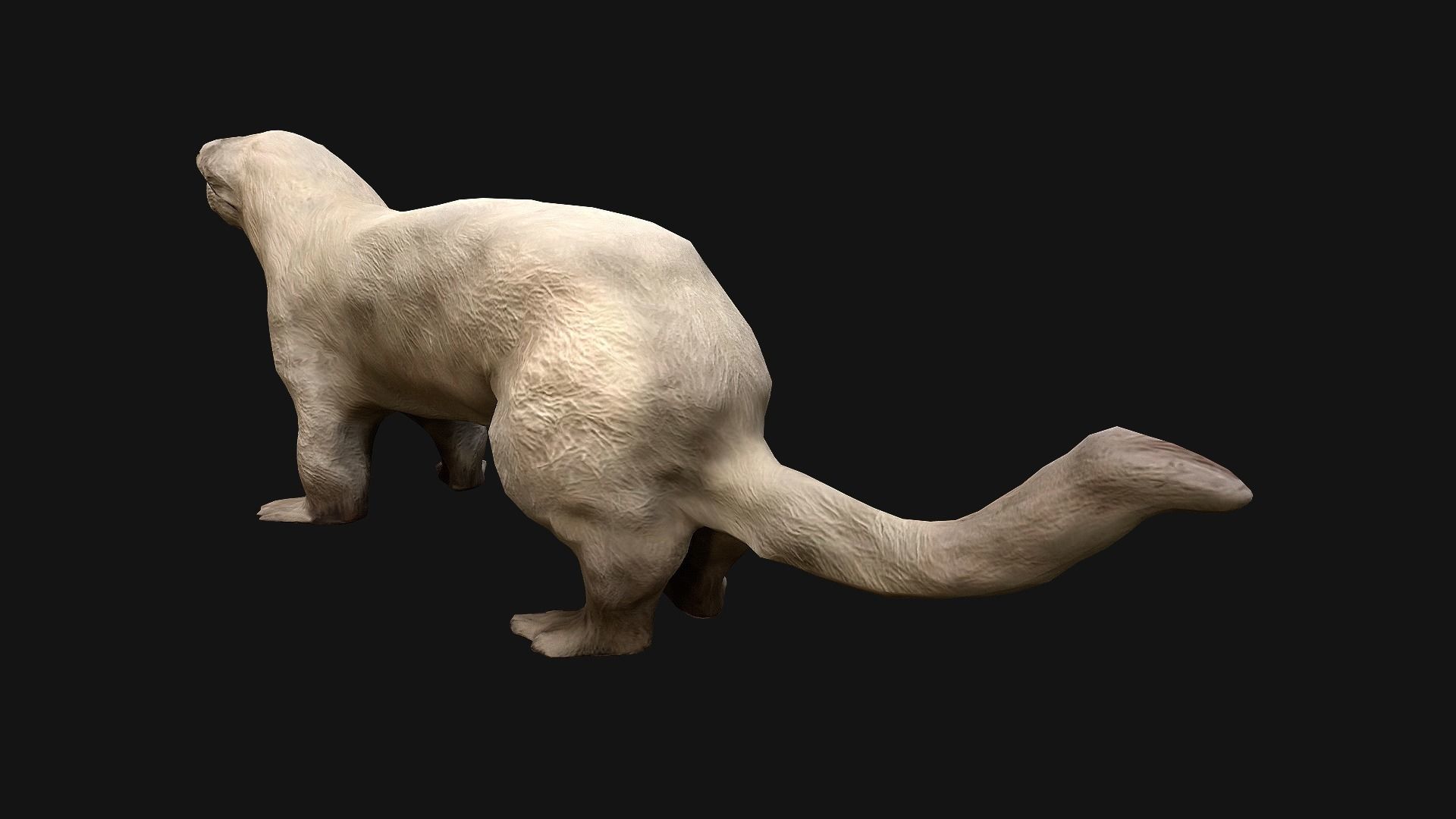 Weasel Ermine Low-poly 3D model_7