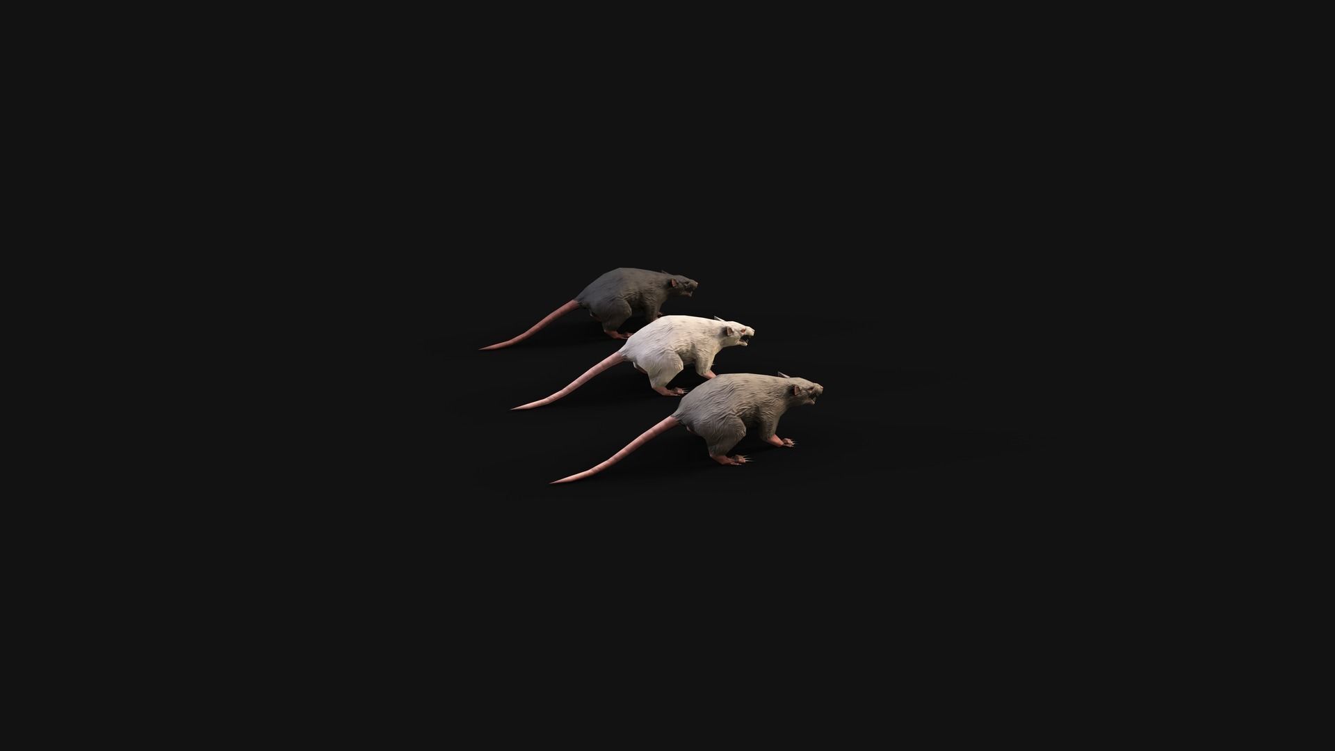 Mobile Rat Low-poly 3D model_6
