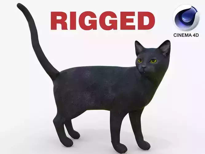 Black Cat Rigged for Cinema 4D 3D Model Low-poly 3D model