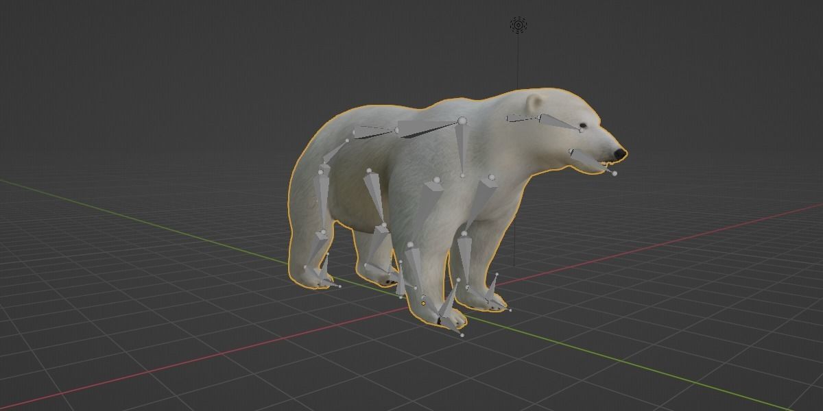 Polar Bear 3D model_13