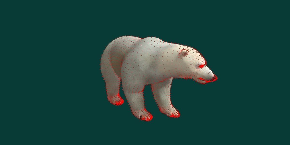Polar Bear 3D model_17