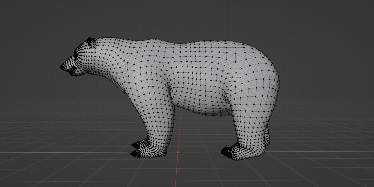 Polar Bear 3D model_12