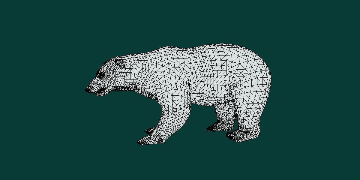 Polar Bear 3D model_15
