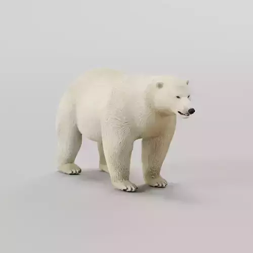 Polar Bear 3D model