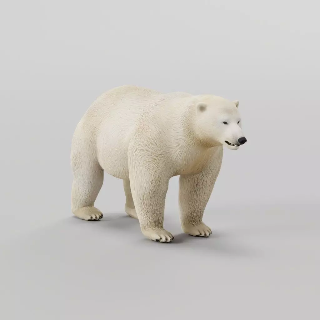 Polar Bear 3D model_0