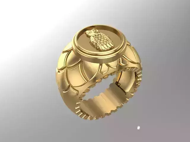 Owl Ring for PRINT