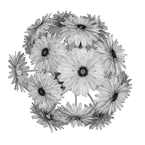 Three-Color Flowers in Black Vase