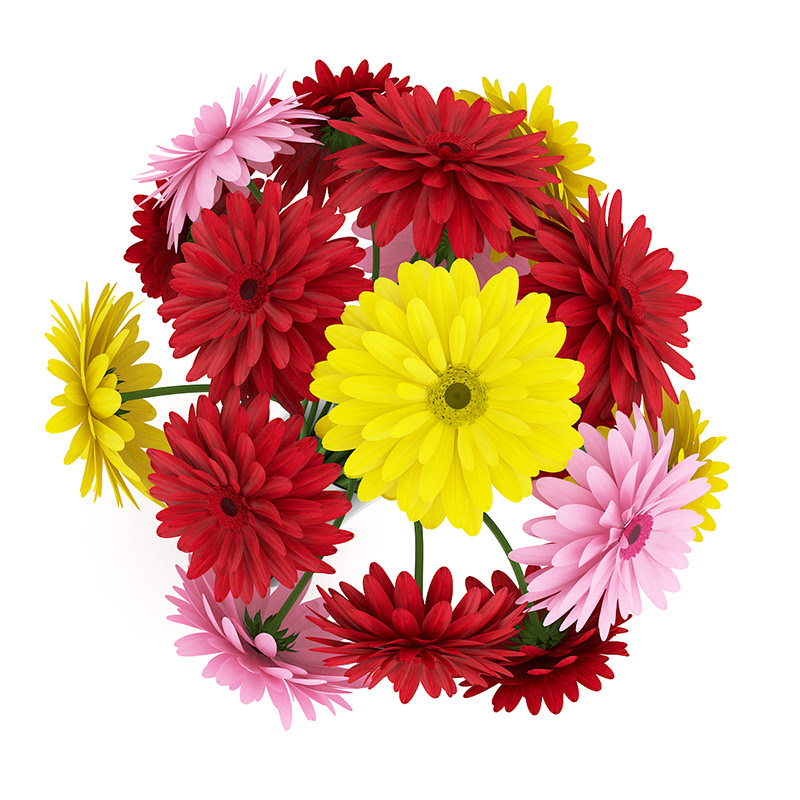 Three-Color Flowers in Black Vase 3D model_1