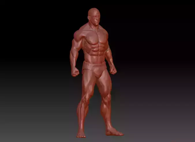 Hunk man 3D model figure male figure muscle human body 