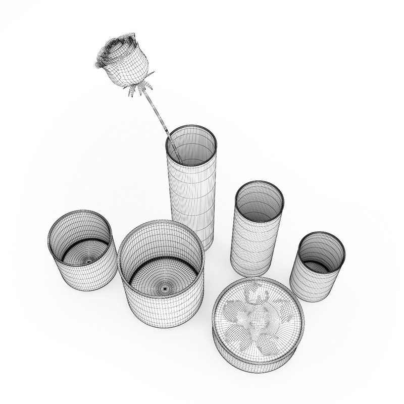 Rose and Vases Set 3D model_1