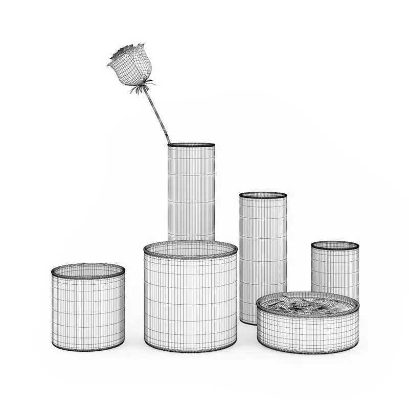 Rose and Vases Set 3D model_0