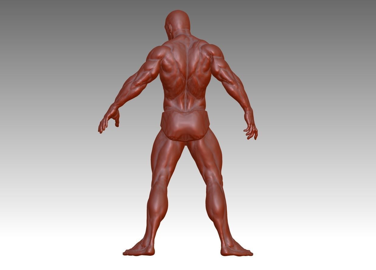 Hunk man 3D model figure male figure muscle human body 3D print model_4