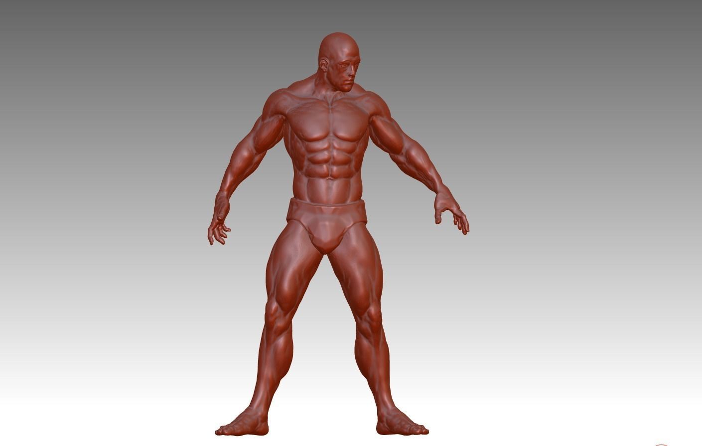 Hunk man 3D model figure male figure muscle human body 3D print model_6