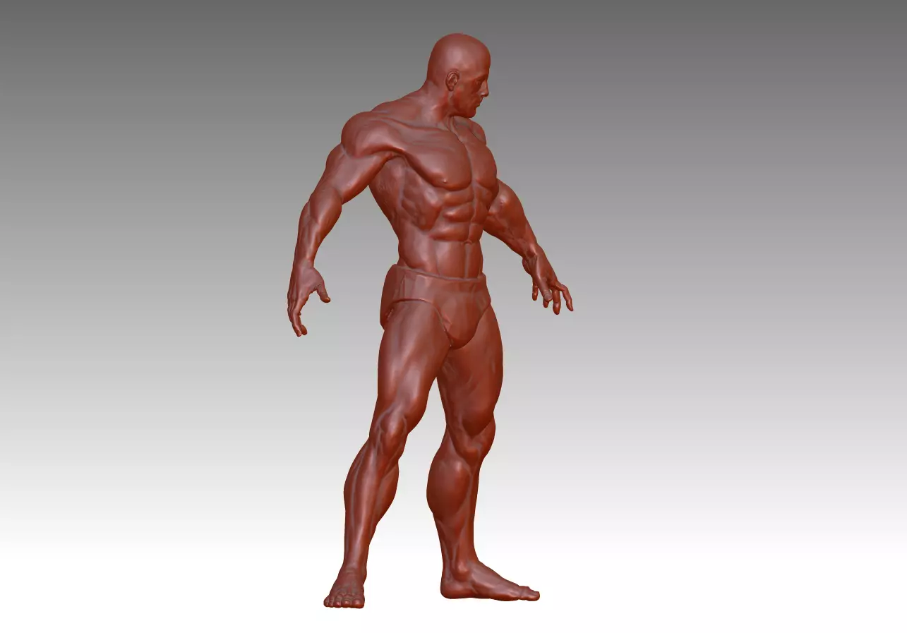 Hunk man 3D model figure male figure muscle human body 3D print model_0