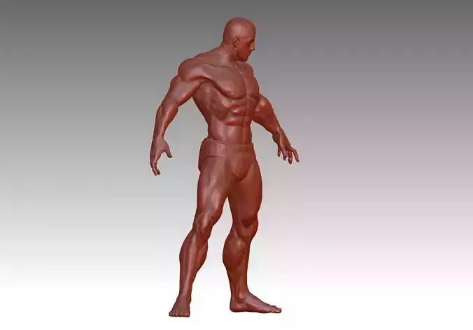 Hunk man 3D model figure male figure muscle human body 