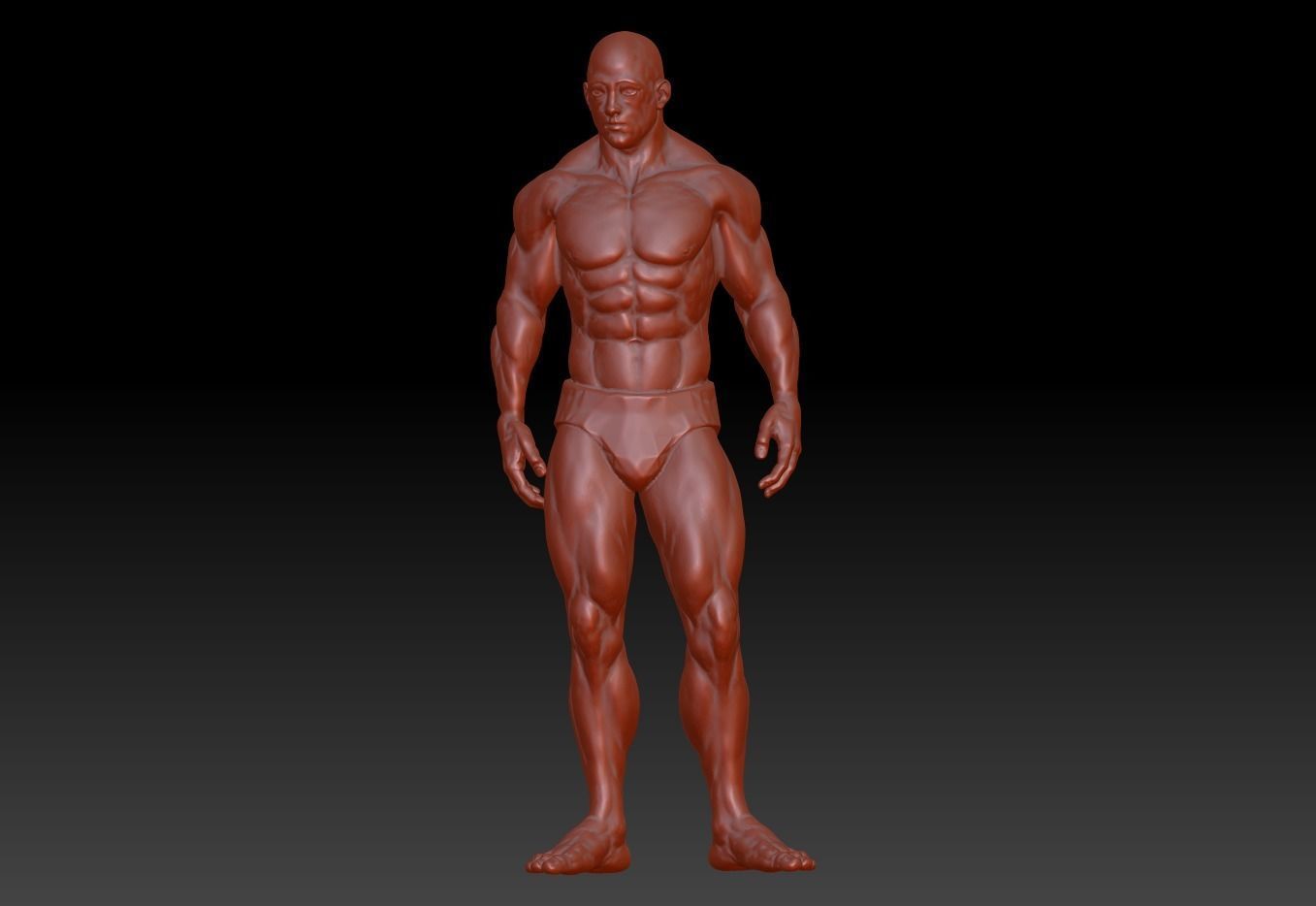 Hunk man 3D model figure male figure muscle human body  3D print model_7