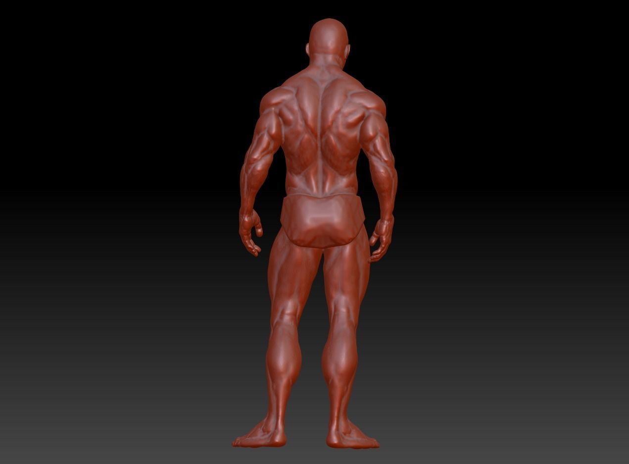 Hunk man 3D model figure male figure muscle human body  3D print model_4