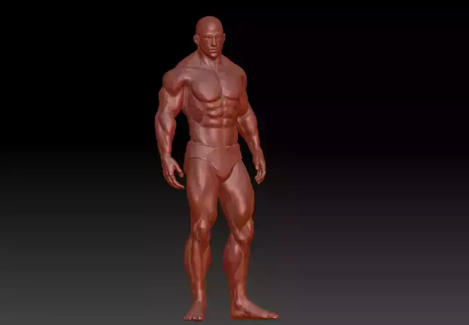 Hunk man 3D model figure male figure muscle human body 