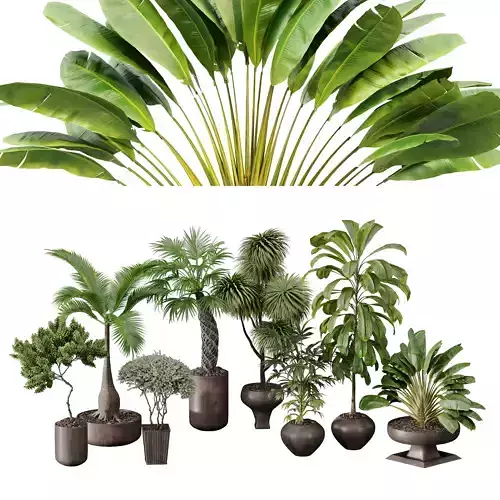 Decorative set of all kinds of shrubs with pots