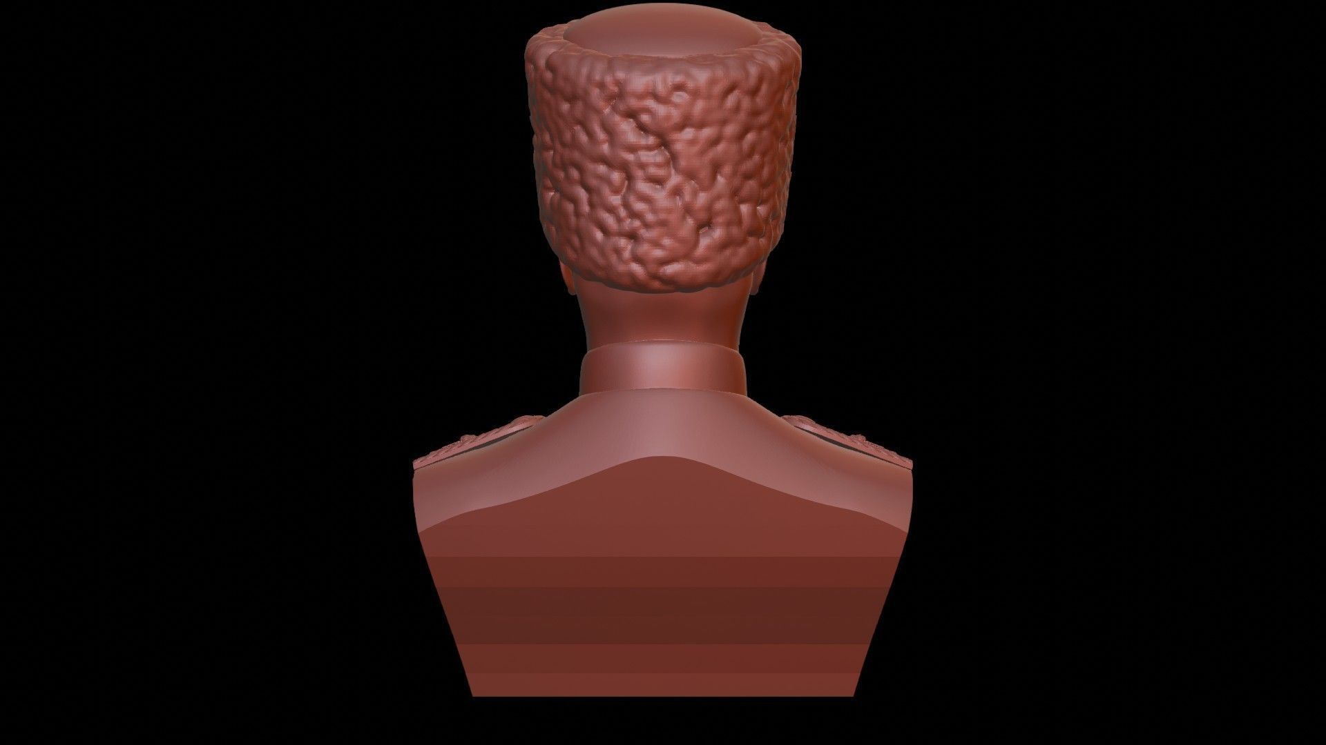 Hetman Pavlo Skoropadskyi Bust 3D print model_12