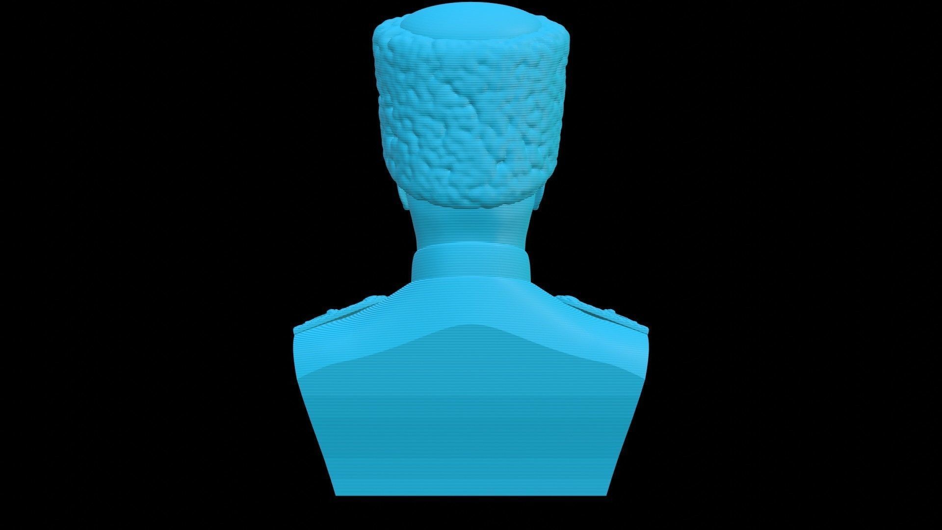 Hetman Pavlo Skoropadskyi Bust 3D print model_18