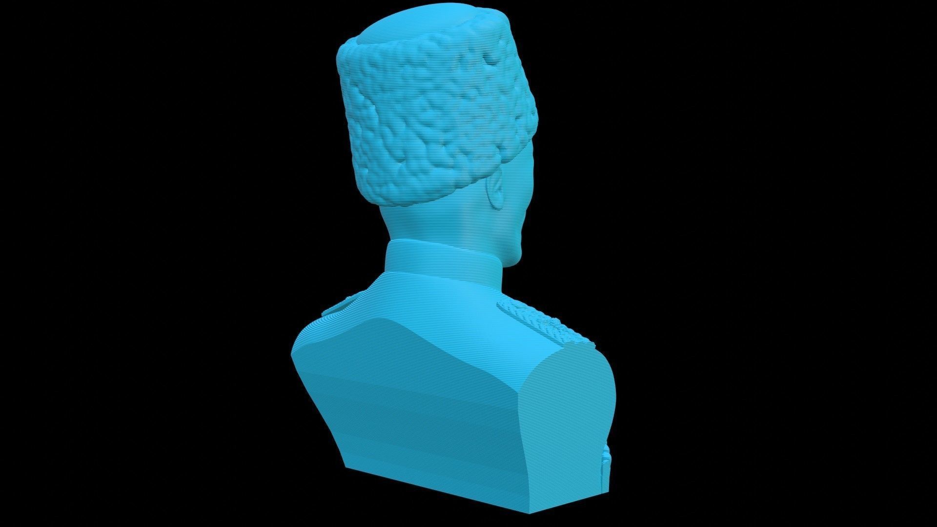 Hetman Pavlo Skoropadskyi Bust 3D print model_17