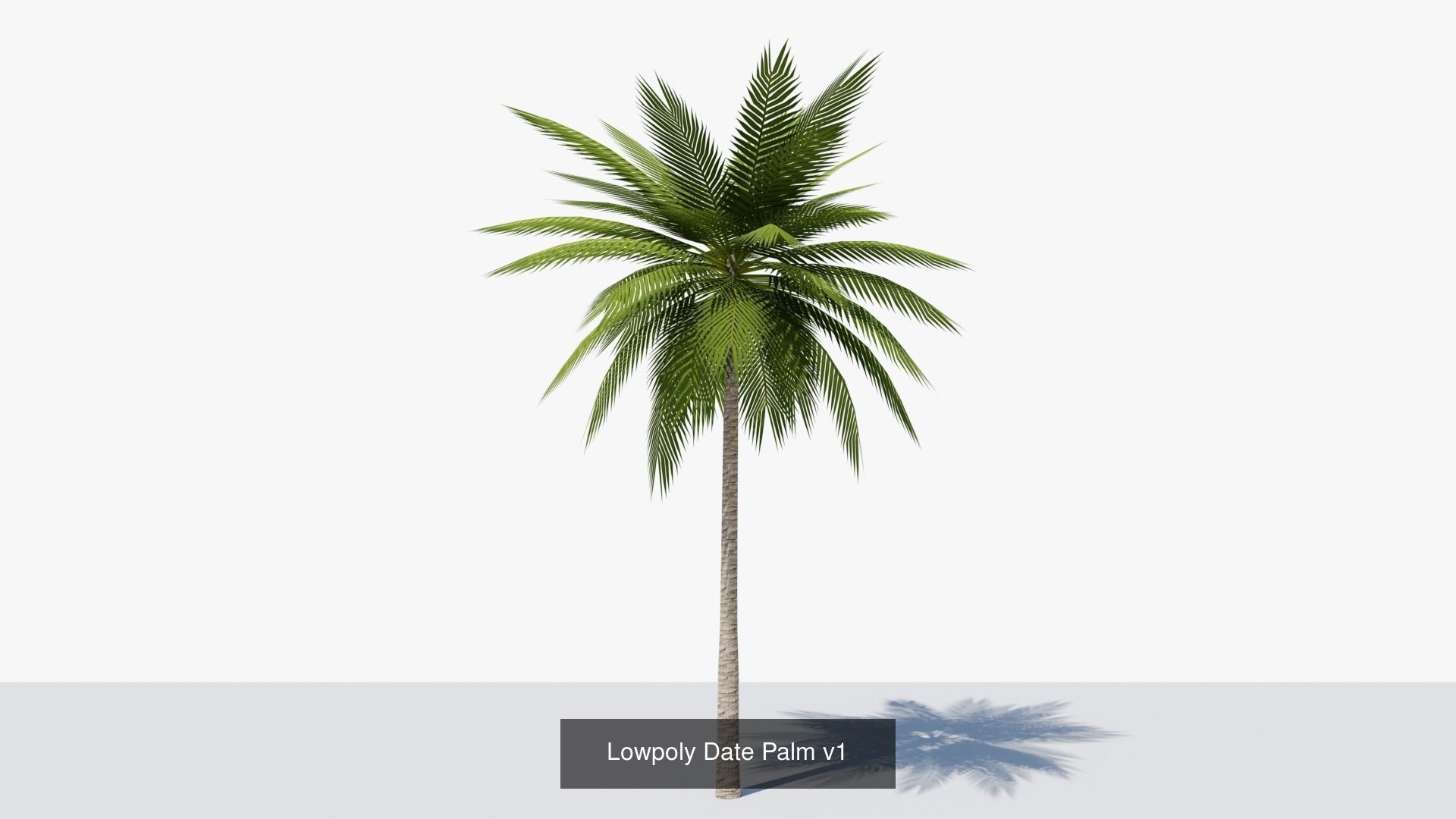 Lowpoly Date Palms Collection _3