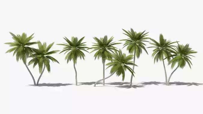 Lowpoly Date Palms Collection 