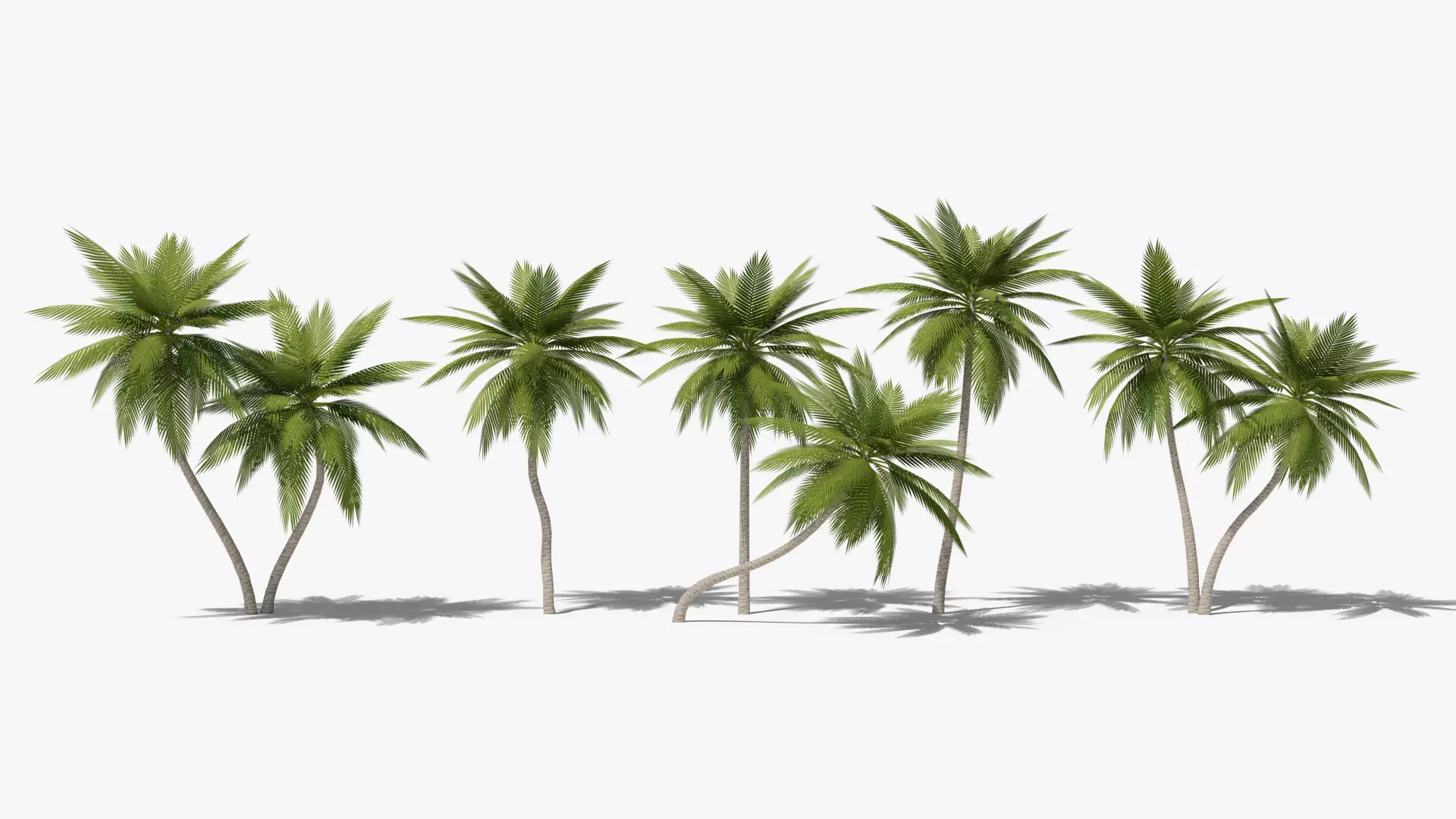 Lowpoly Date Palms Collection _0