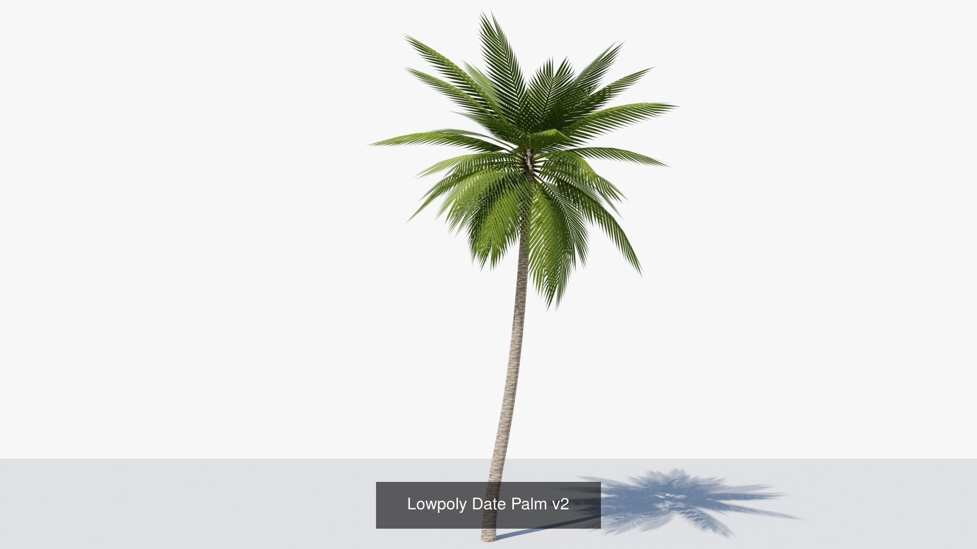 Lowpoly Date Palms Collection _5