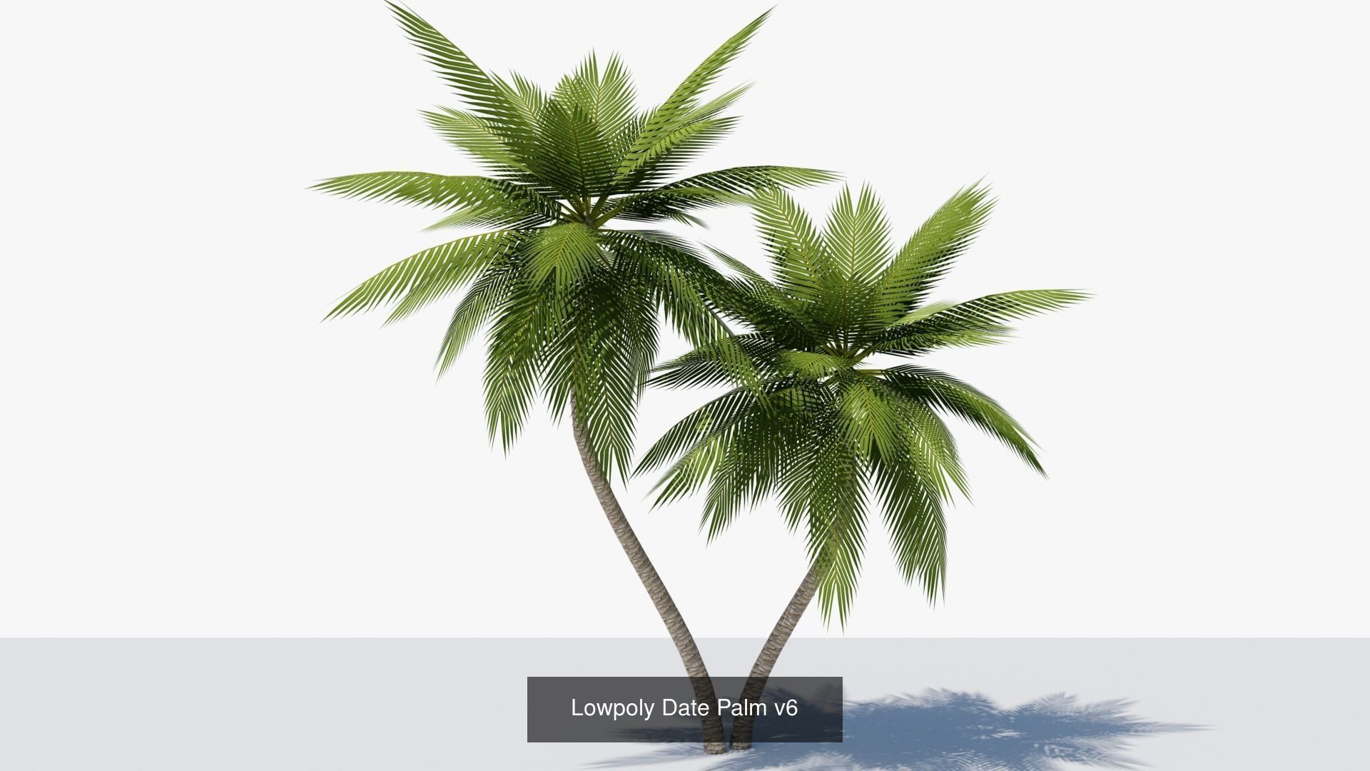 Lowpoly Date Palms Collection _13