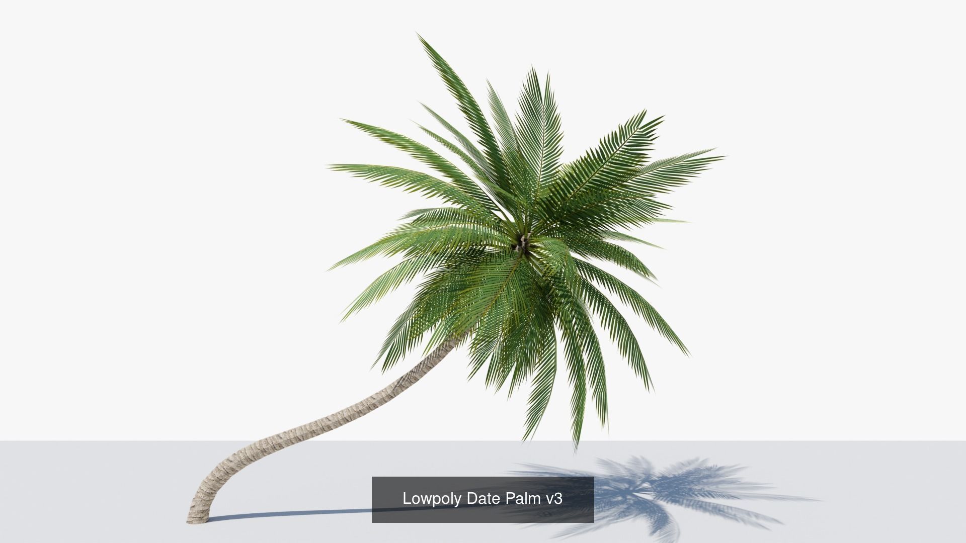 Lowpoly Date Palms Collection _7