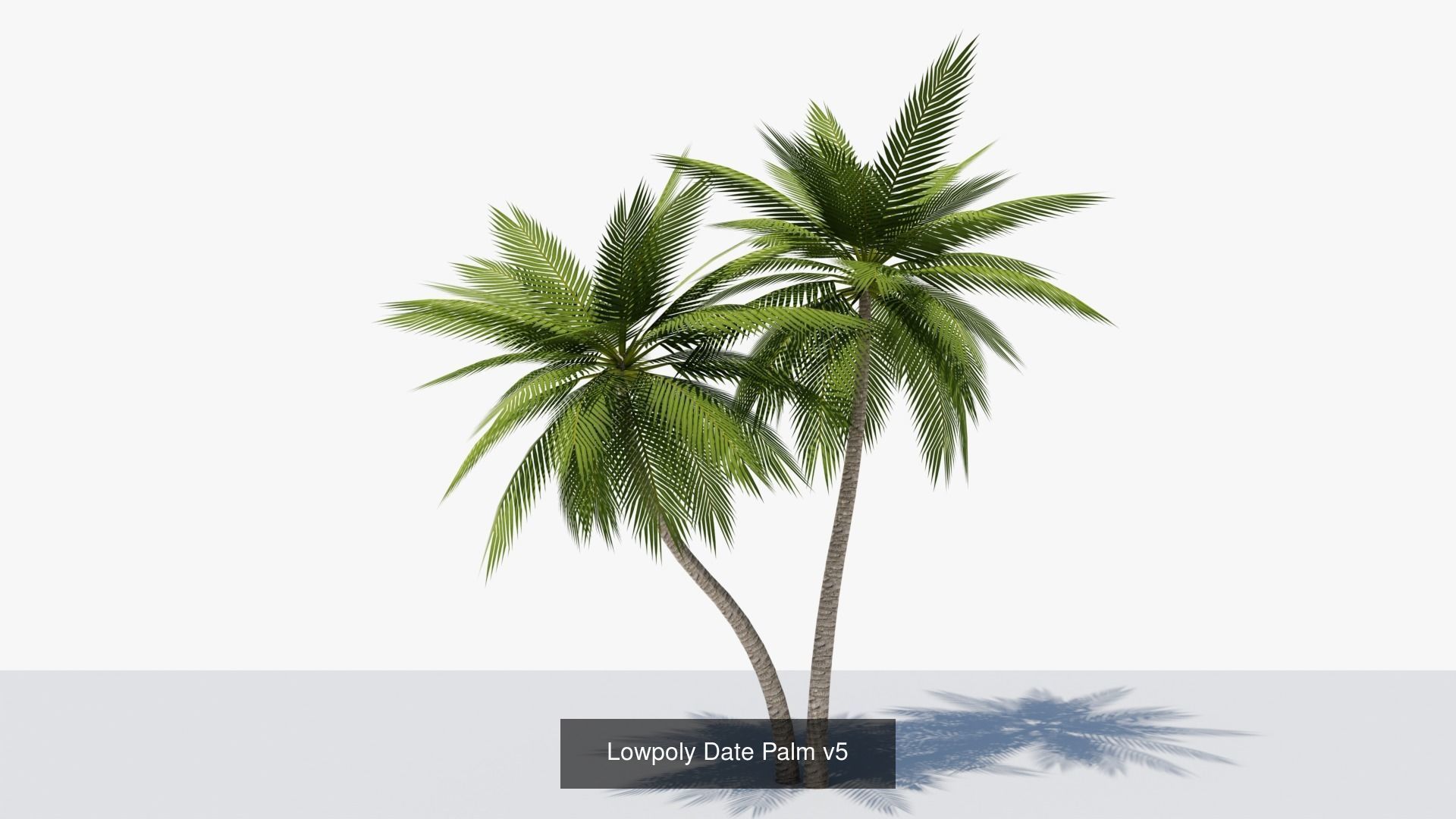 Lowpoly Date Palms Collection _11