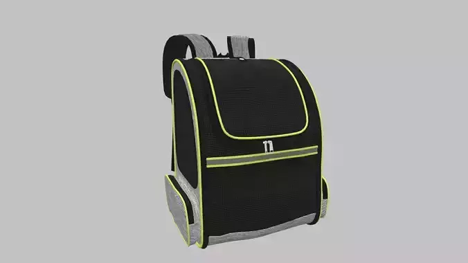 Portable Pet Carrier