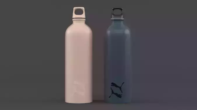 Water Bottle