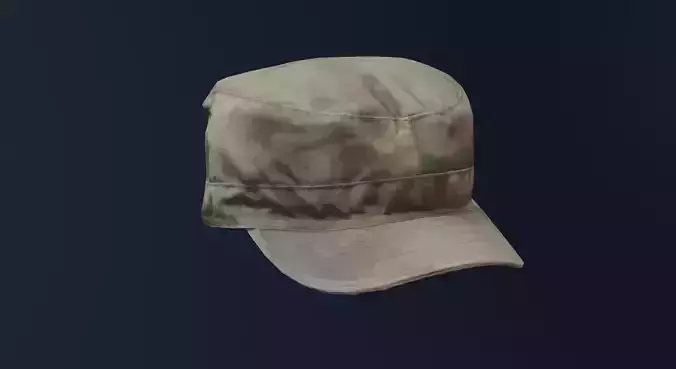 ATACS FG Army Cap