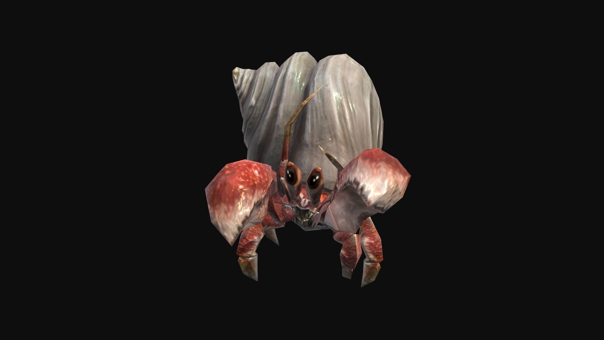 animated Hermit crab Low-poly 3D model_8