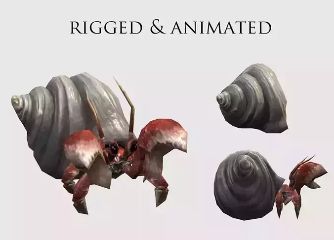 animated Hermit crab Low-poly 3D model