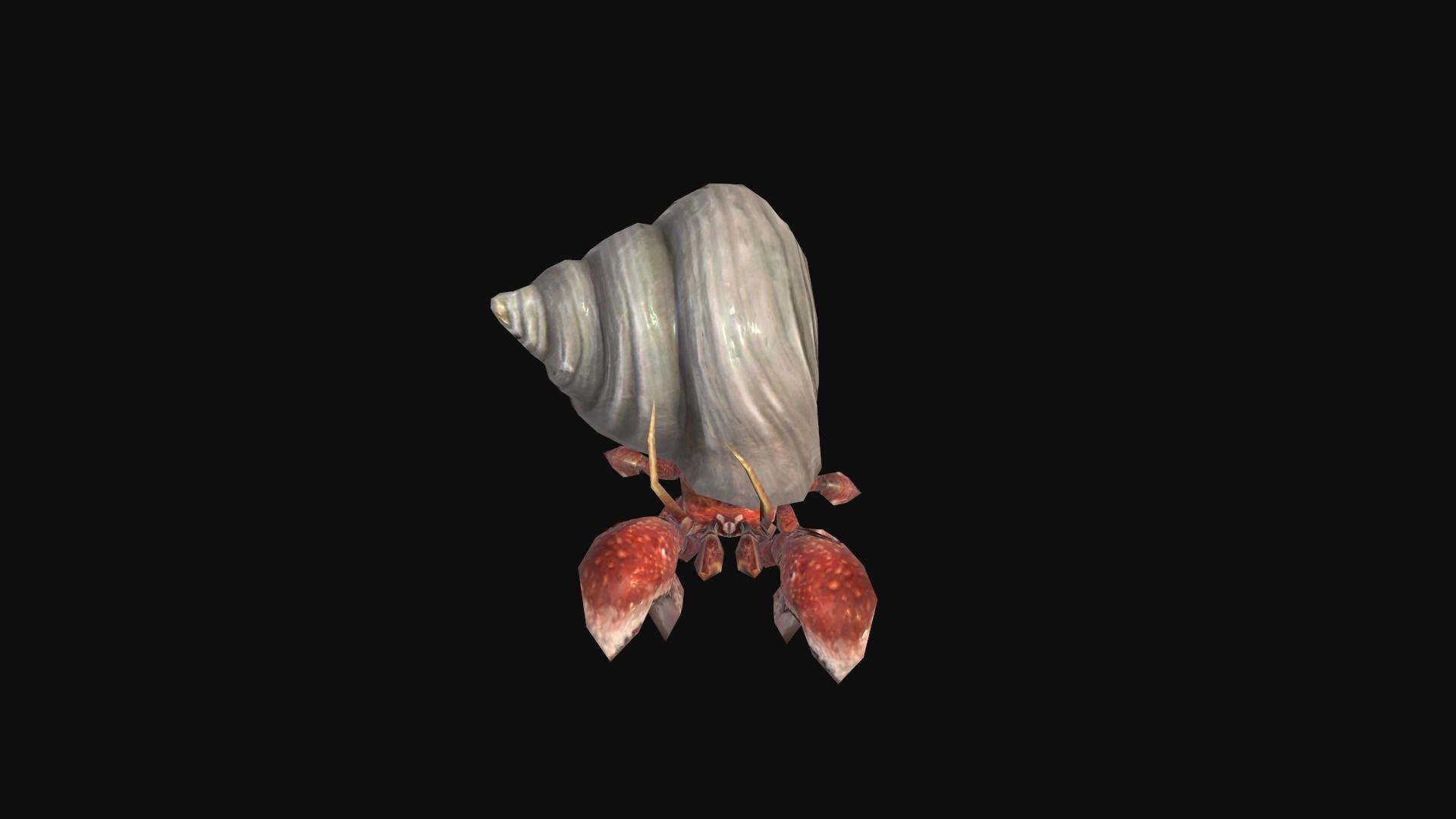 animated Hermit crab Low-poly 3D model_5